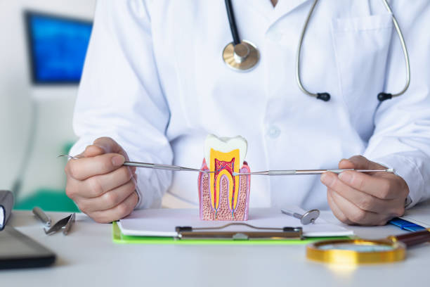 Best Emergency Treatment for Toothache in Scott City, MO